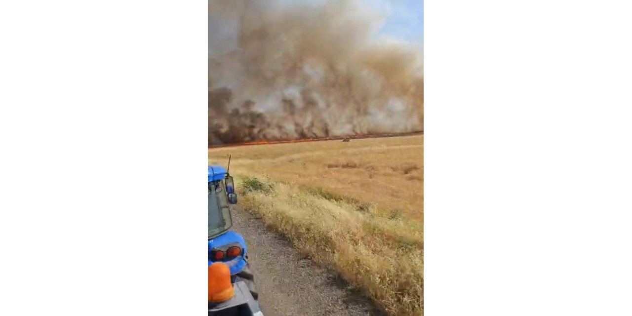 Diyarbakır'da çıkan yangın 500 dönüm buğdayı kül etti