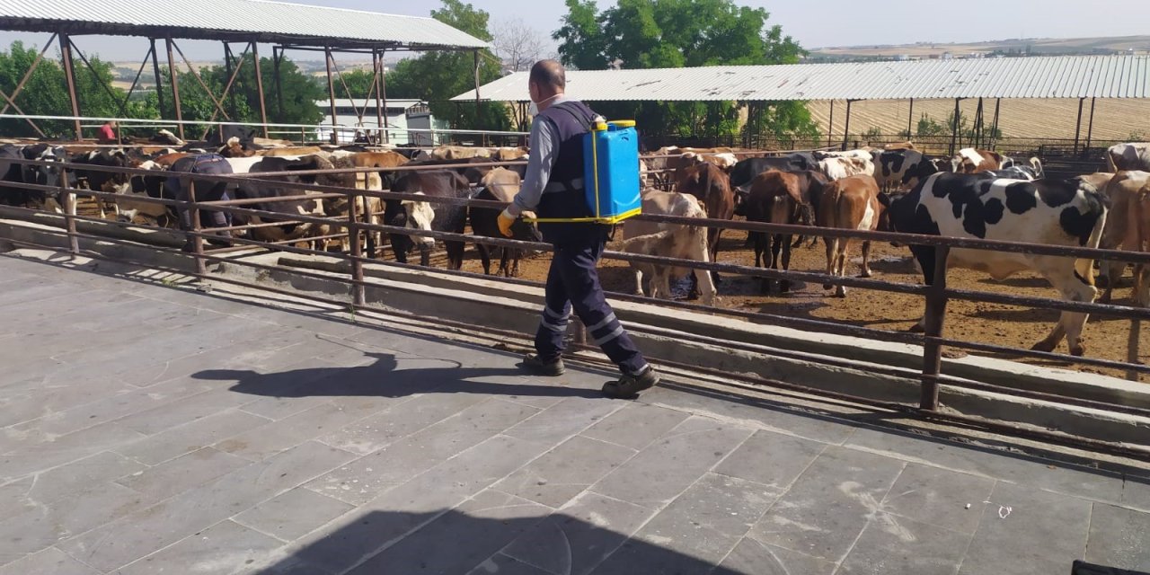 Diyarbakır'da kurbanlık alanları temizleniyor