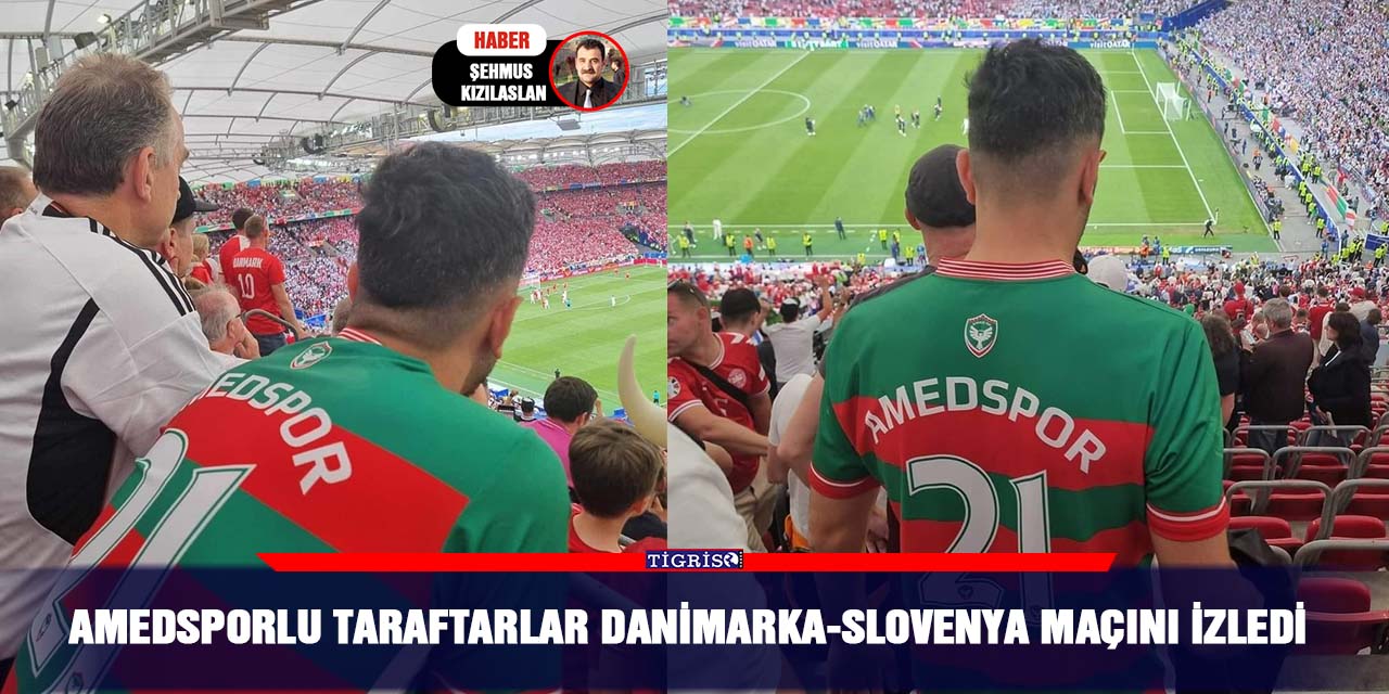 Amedsporlu taraftarlar Danimarka-Slovenya maçını izledi