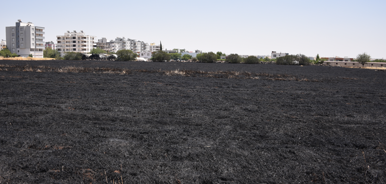 Şanlıurfa'da 40 dönüm buğday ekili alan yandı