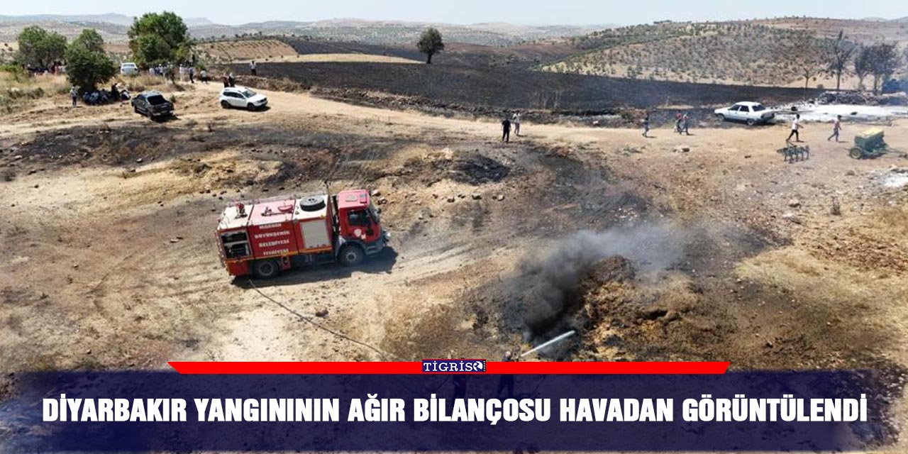 Diyarbakır yangınının ağır bilançosu havadan görüntülendi