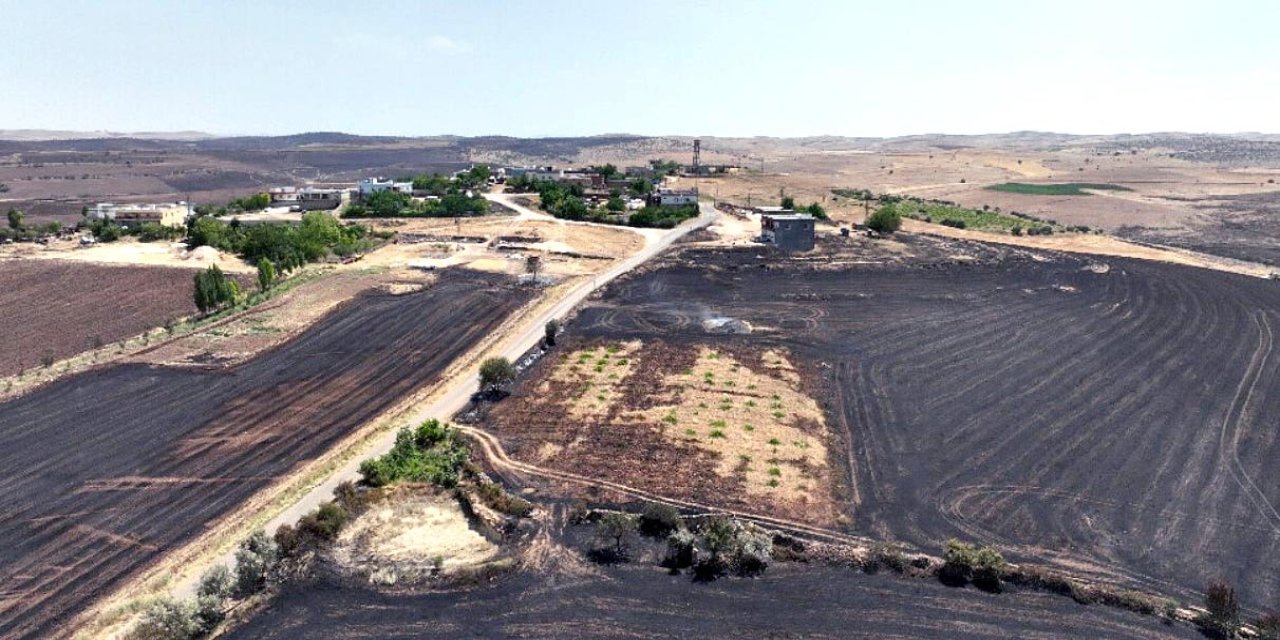 Yangın felaketinde Diyarbakır ve Mardin'de bilanço ağırlaşıyor