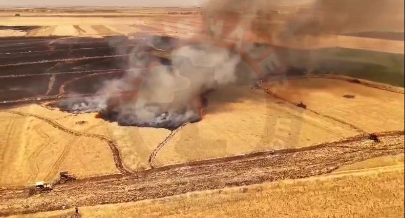 VİDEO - Diyarbakır'da bir tarla yangını daha