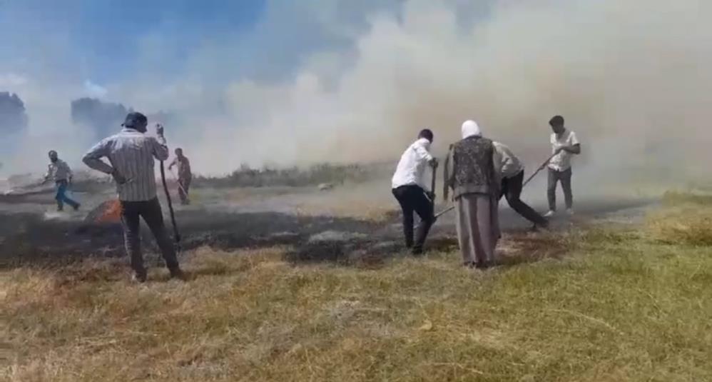 Buğday tarlası küle döndü