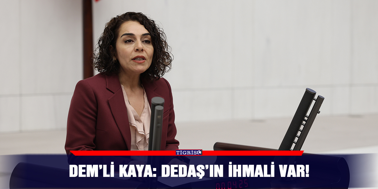 DEM’li Kaya: DEDAŞ’ın ihmali var!