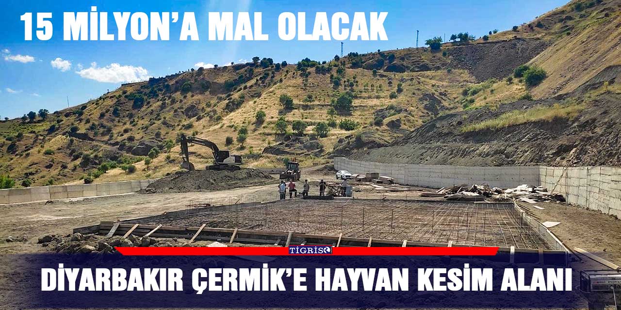 Diyarbakır Çermik’e hayvan kesim alanı