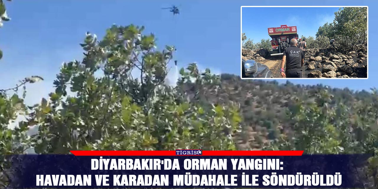 Diyarbakır'da orman yangını: Havadan ve karadan müdahale ile söndürüldü