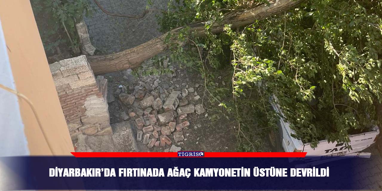 Diyarbakır’da fırtınada ağaç kamyonetin üstüne devrildi