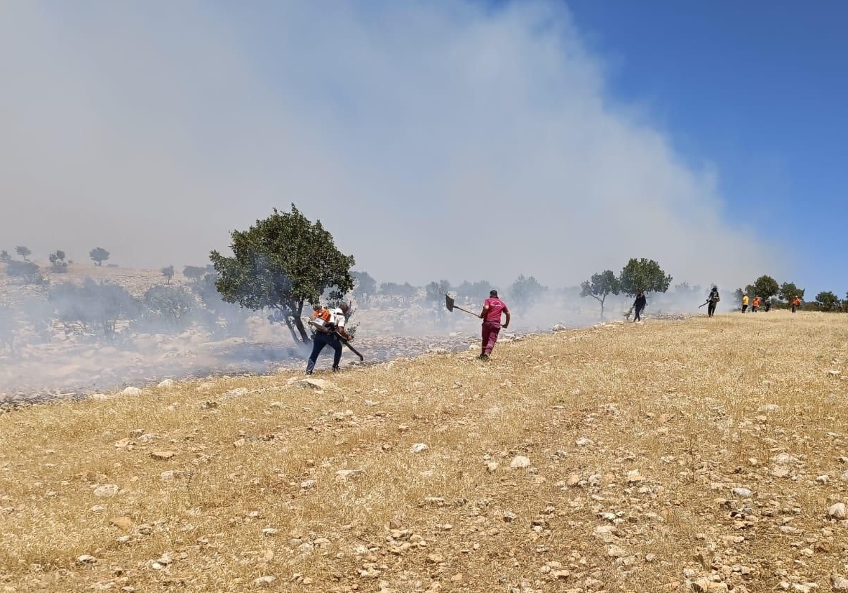 Mardin'de arazi yangını