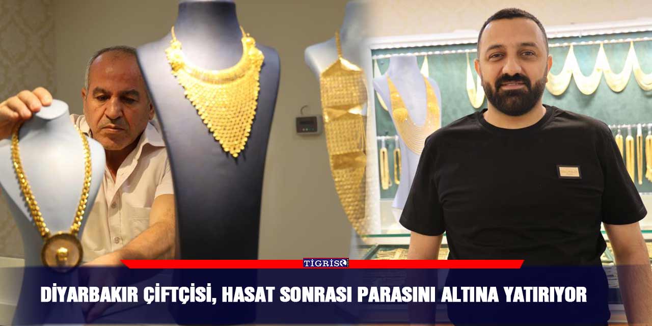 Diyarbakır çiftçisi, hasat sonrası parasını altına yatırıyor