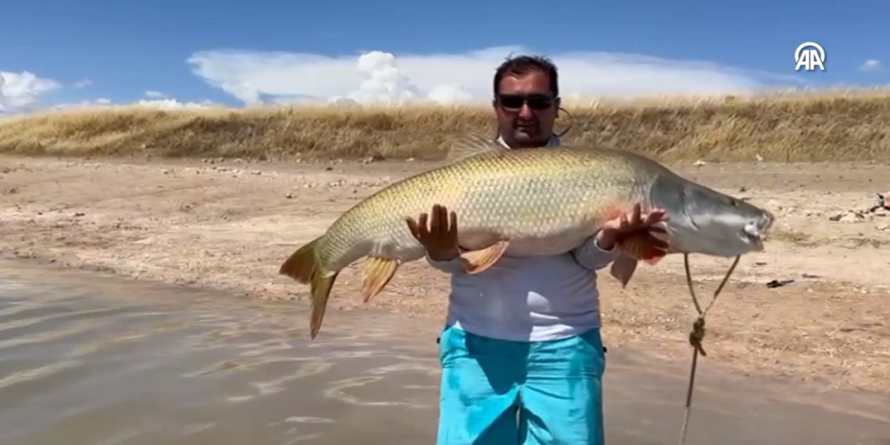 Amatör balıkçı 39 kilogramlık turna balığı yakaladı