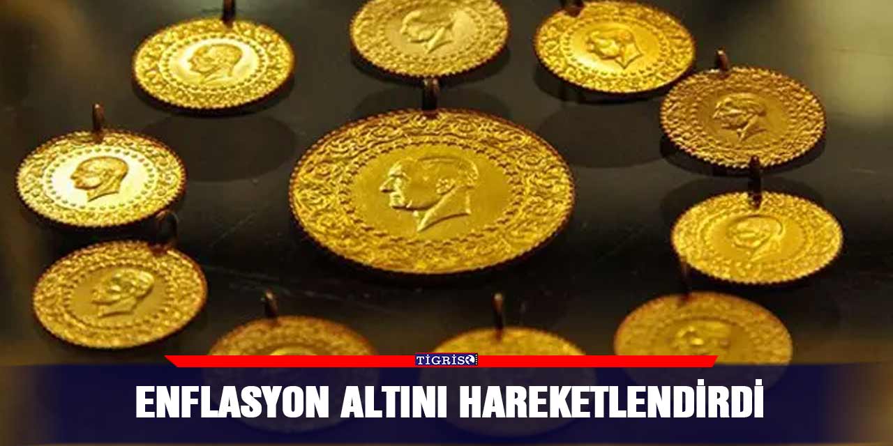 Enflasyon altını hareketlendirdi