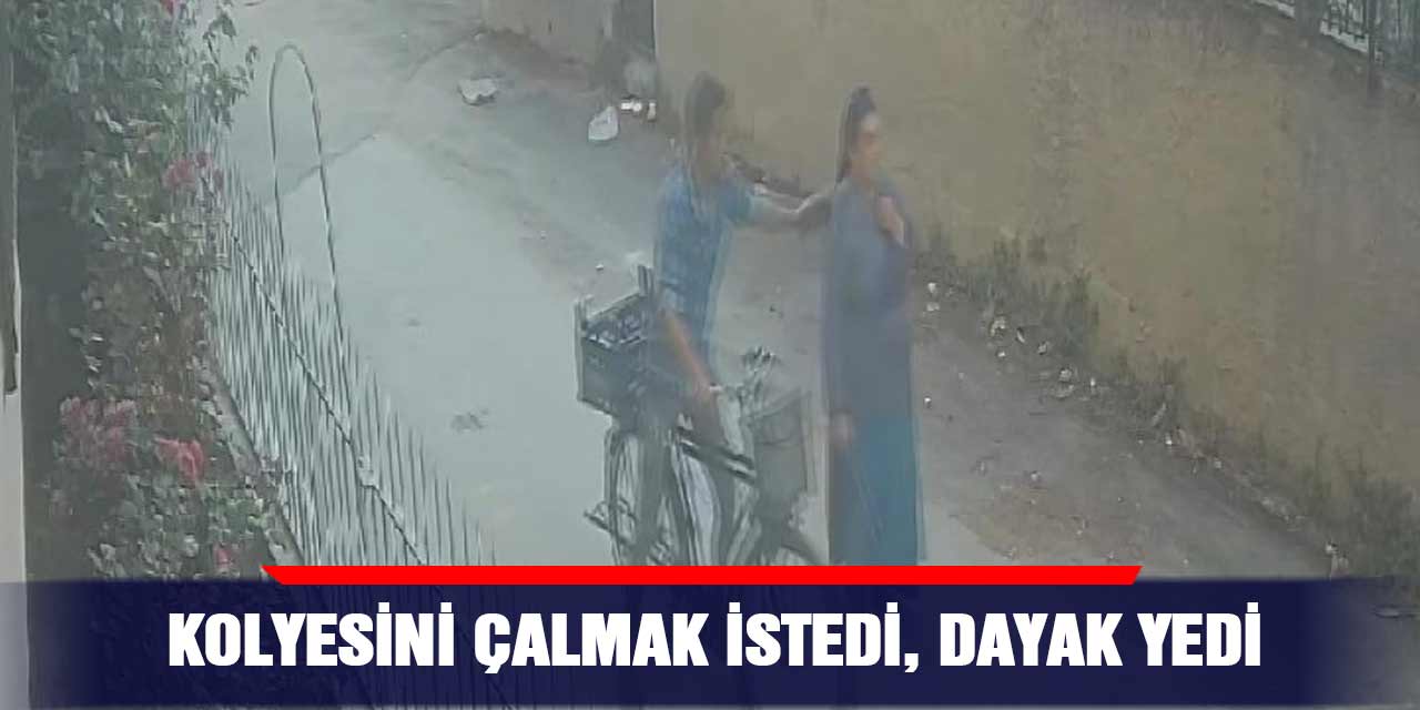 Kolyesini çalmak istedi, dayak yedi