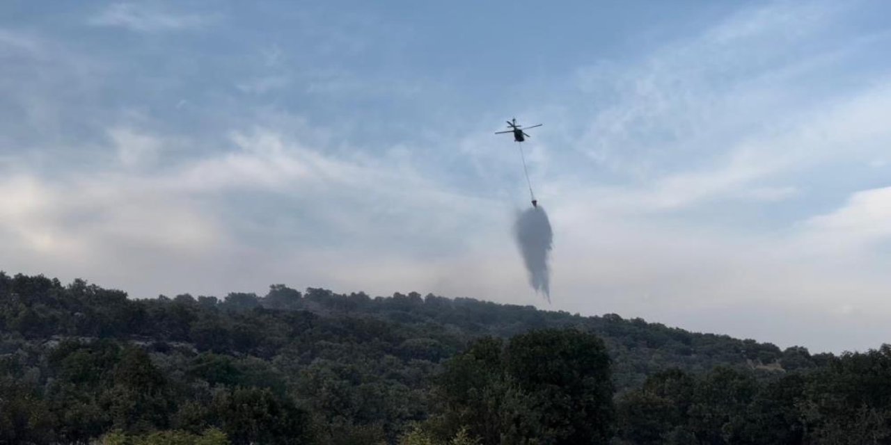 Diyarbakır’daki orman yangınları kontrol altına alındı