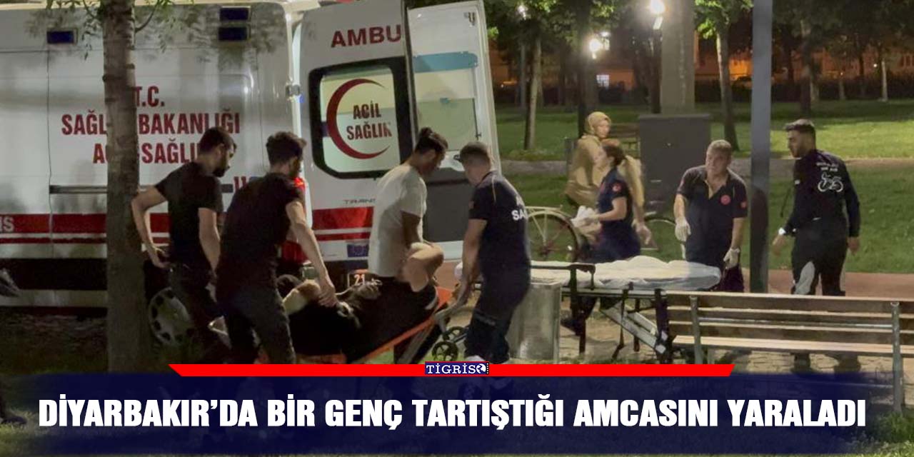 Diyarbakır’da bir genç tartıştığı amcasını yaraladı