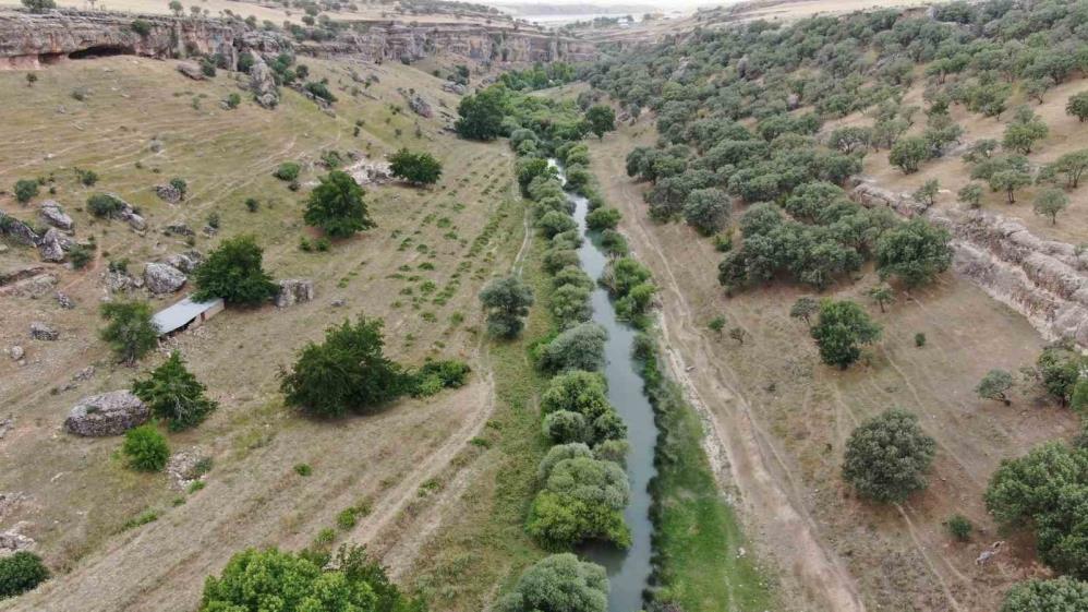 Diyarbakır'da iki kuzen girdikleri suda boğuldu