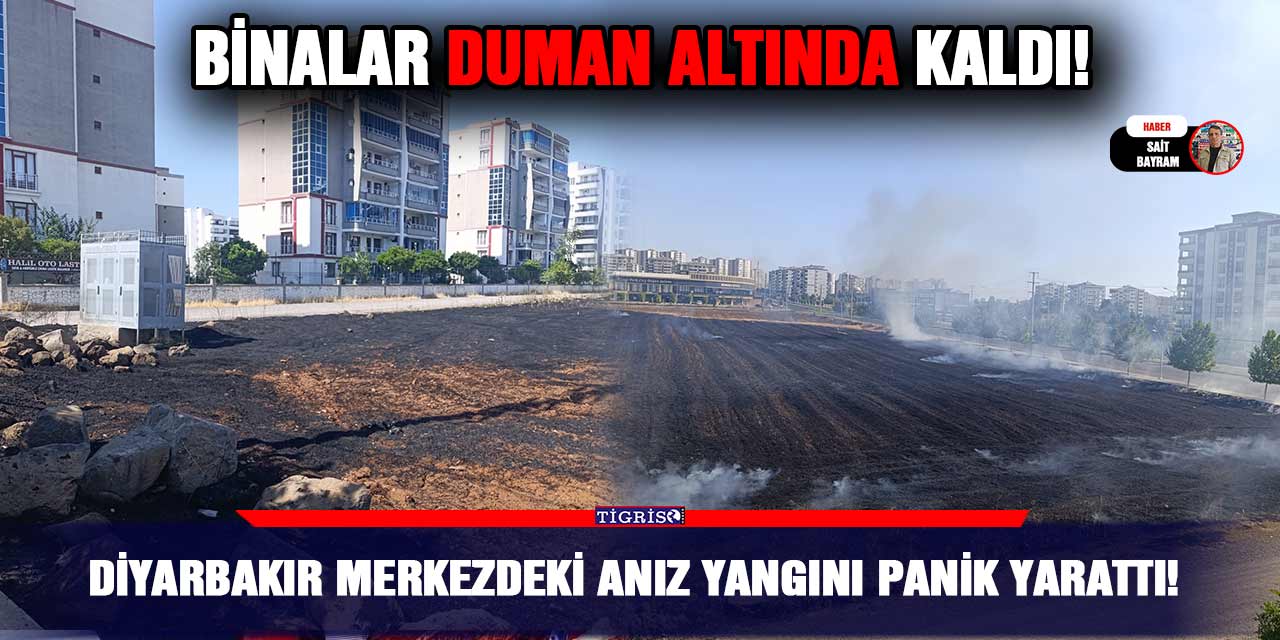 VİDEO - Diyarbakır merkezdeki anız yangını panik yarattı!