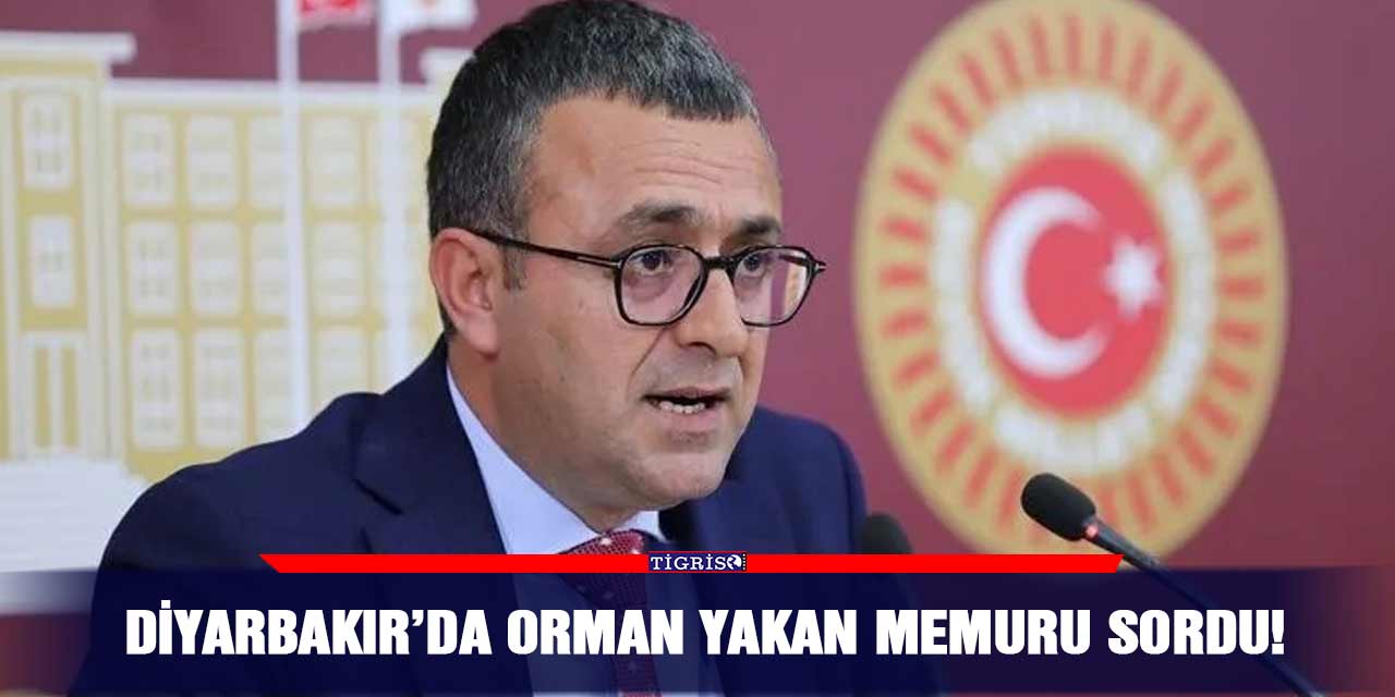 Diyarbakır’da orman yakan memuru sordu!