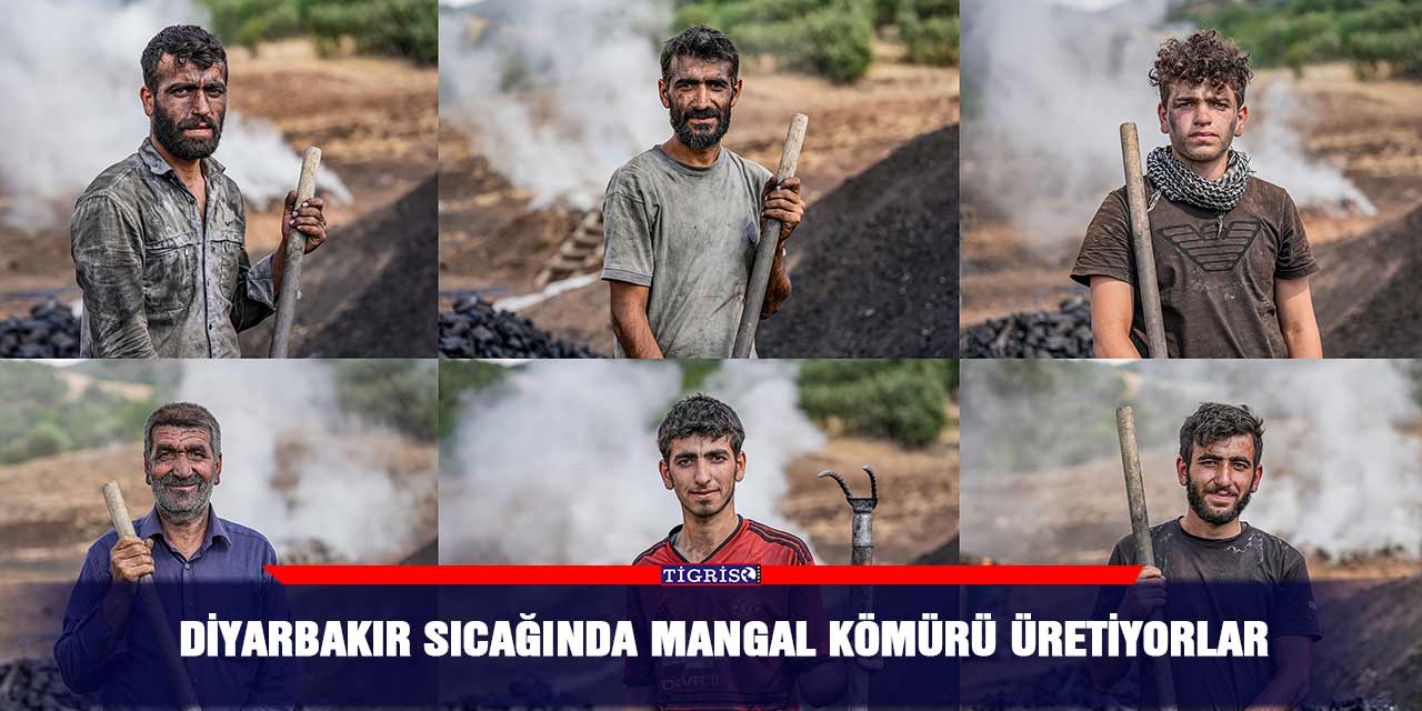 VİDEO - Diyarbakır sıcağında mangal kömürü üretiyorlar