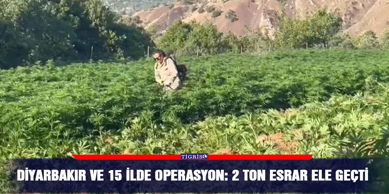 Diyarbakır ve 15 ilde operasyon: 2 ton esrar ele geçti