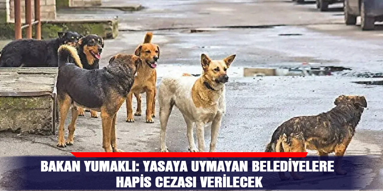 Bakan Yumaklı: Yasaya uymayan Belediyelere Hapis Cezası Verilecek