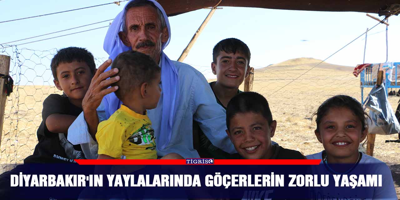 Diyarbakır'ın yaylalarında göçerlerin zorlu yaşamı