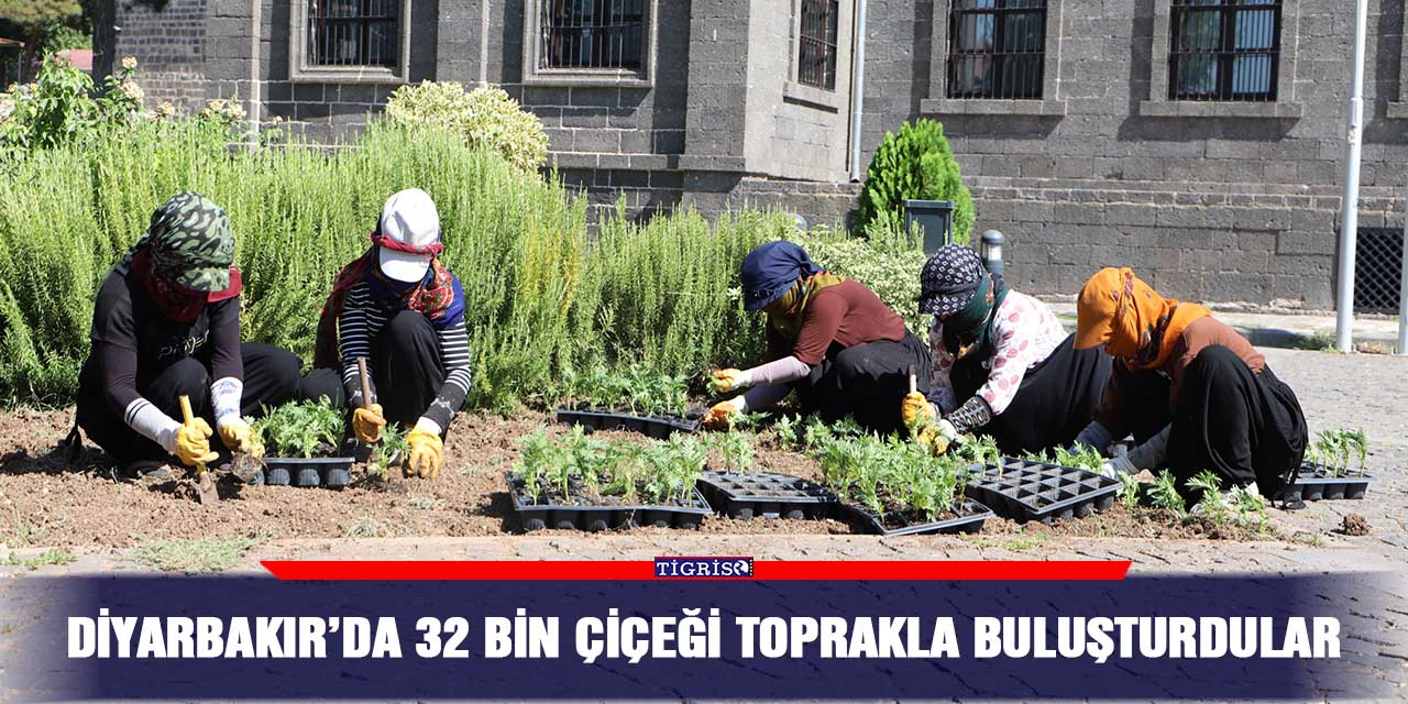 Diyarbakır’da 32 bin çiçeği toprakla buluşturdular