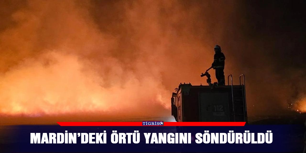 Mardin’deki örtü yangını söndürüldü