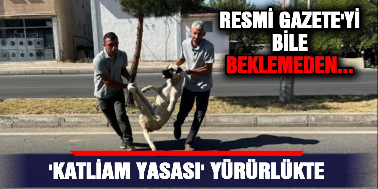 Resmi Gazete'yi bile beklemeden... 'Katliam yasası' yürürlükte