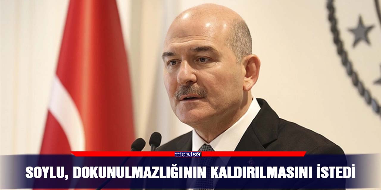 Soylu, dokunulmazlığının kaldırılmasını istedi