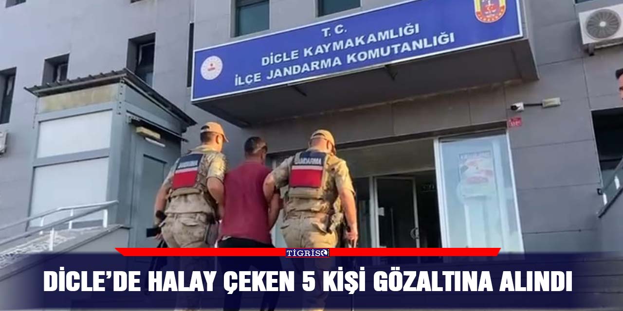 VİDEO - Dicle’de Halay çeken 5 kişi gözaltına alındı