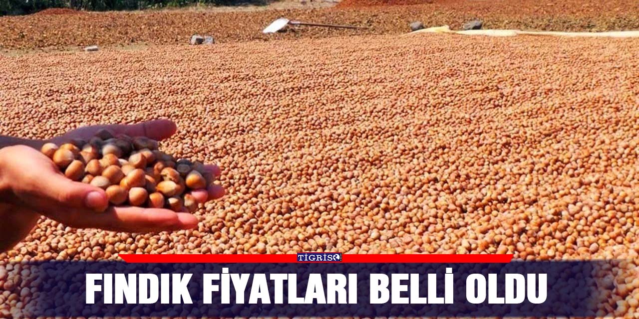 Fındık fiyatları belli oldu