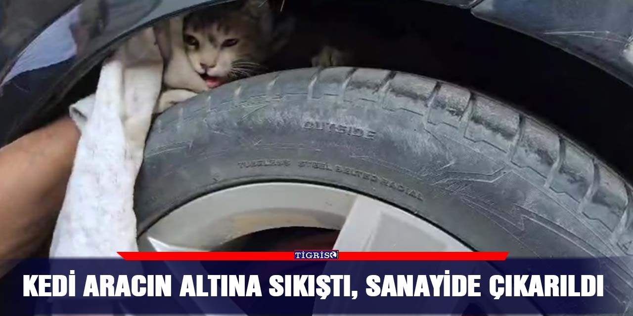 Kedi aracın altına sıkıştı, sanayide çıkarıldı