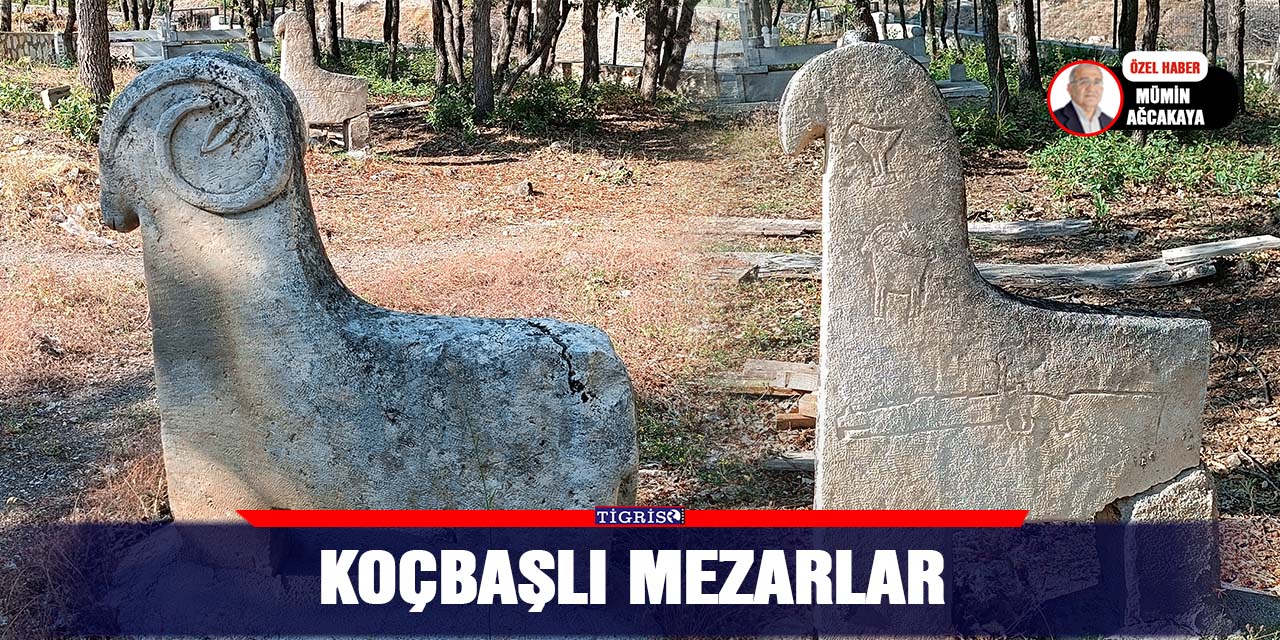 Koçbaşlı Mezarlar