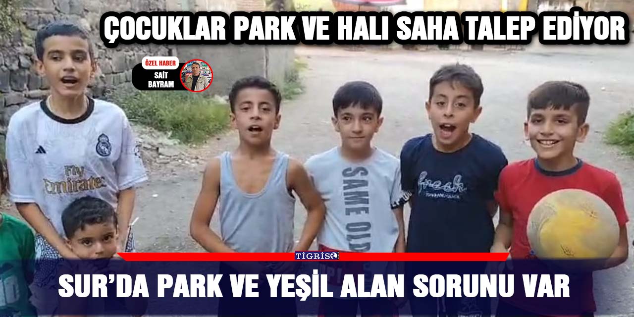 Sur’da park ve yeşil alan sorunu var