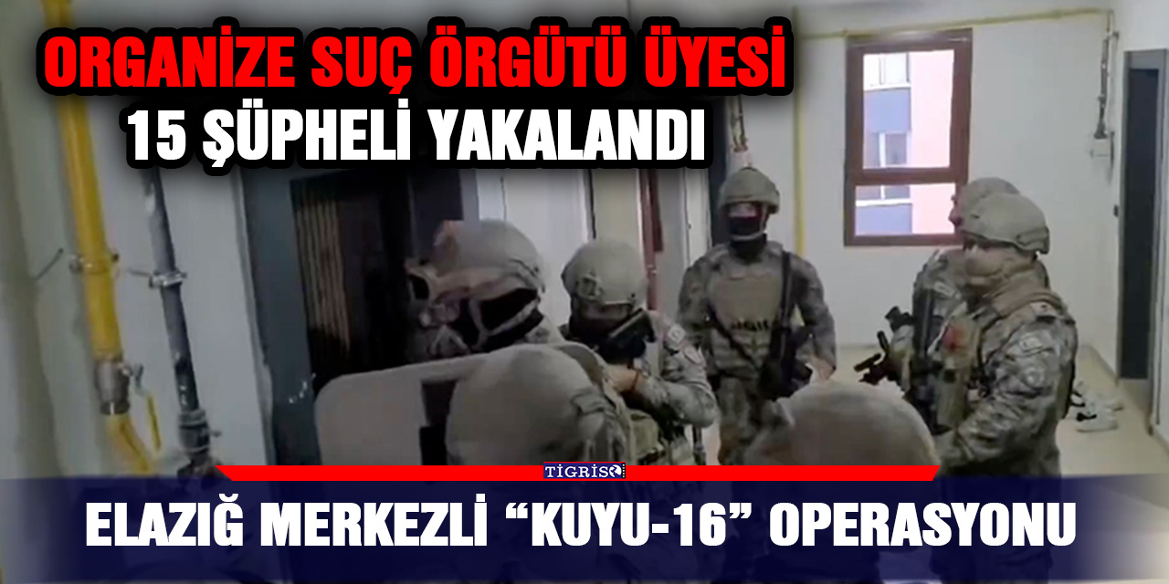 Elazığ merkezli “Kuyu-16” operasyonu