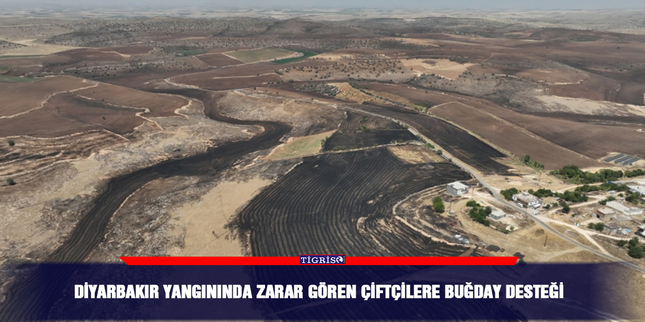 Diyarbakır yangınında zarar gören çiftçilere buğday desteği