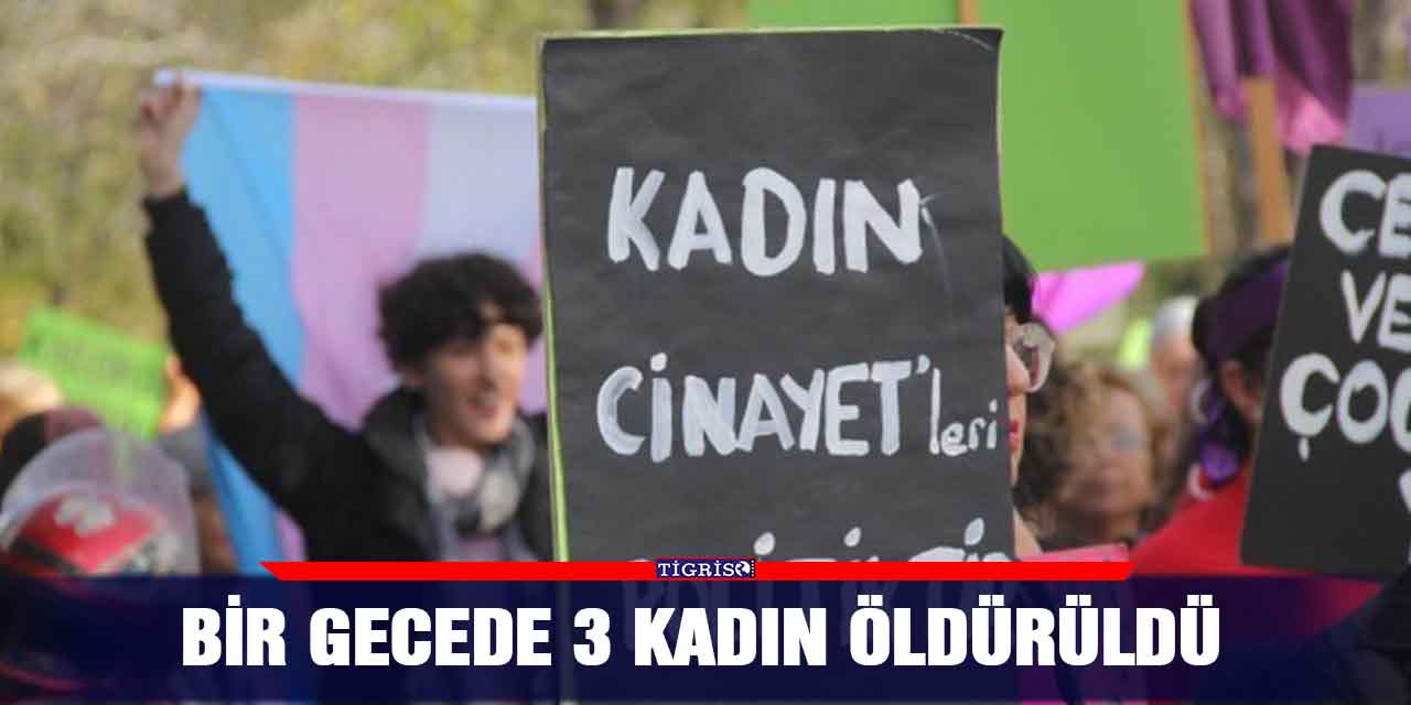 Bir gecede 3 kadın öldürüldü