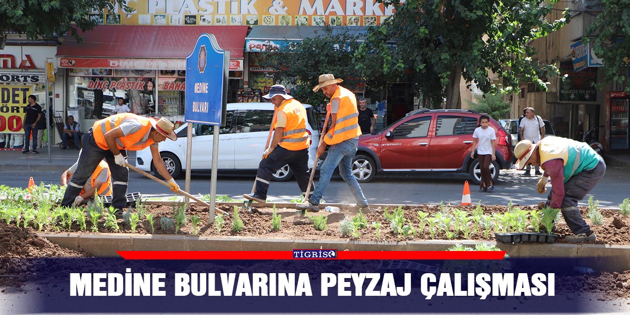 Medine Bulvarına peyzaj çalışması