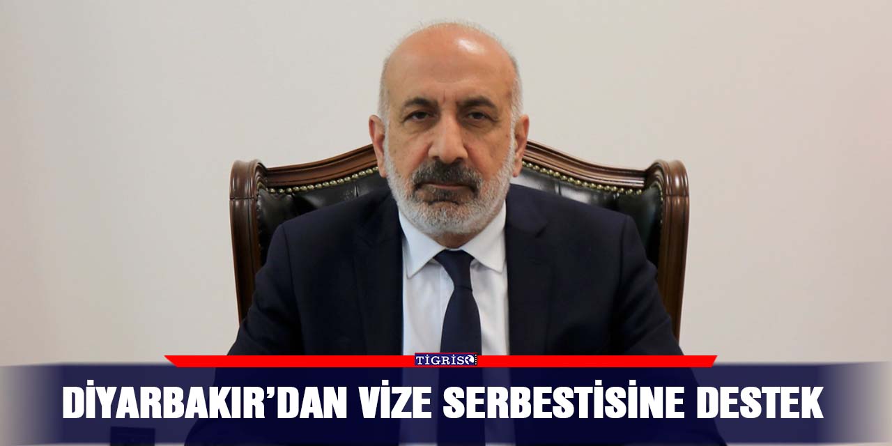 Diyarbakır’dan vize serbestisine destek