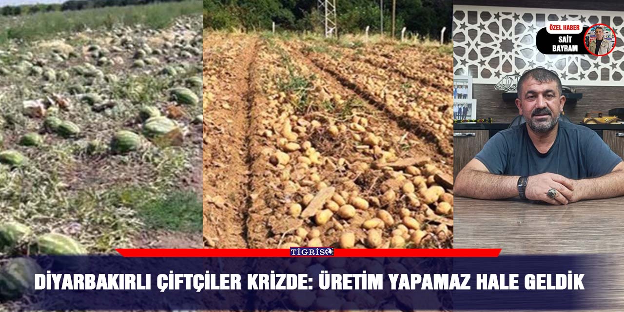 Diyarbakırlı çiftçiler krizde: Üretim yapamaz hale geldik