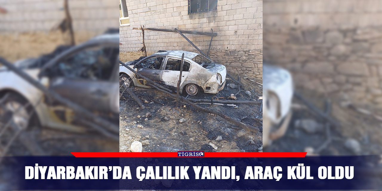 Diyarbakır’da çalılık yandı, araç kül oldu