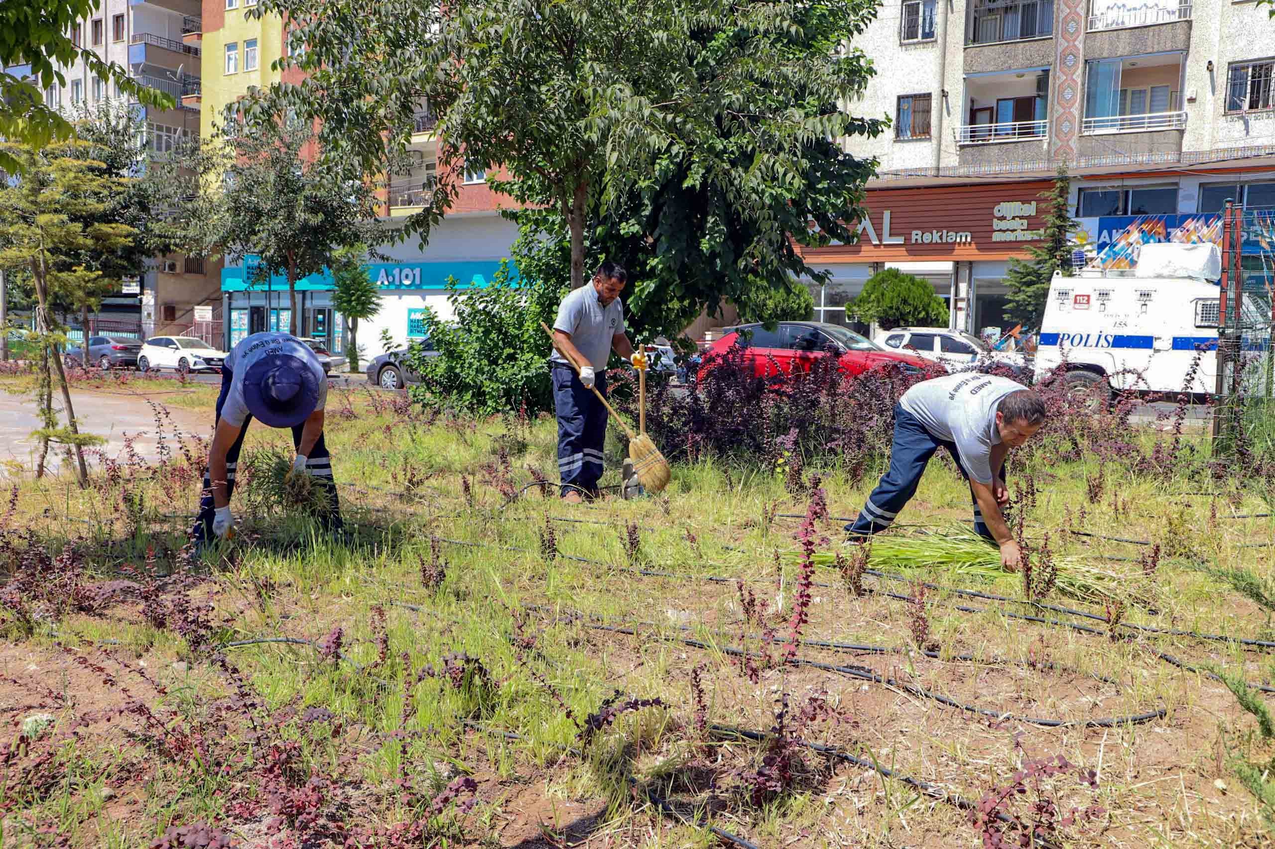 Diyarbakır millet bahçesinde temizlik seferberliği