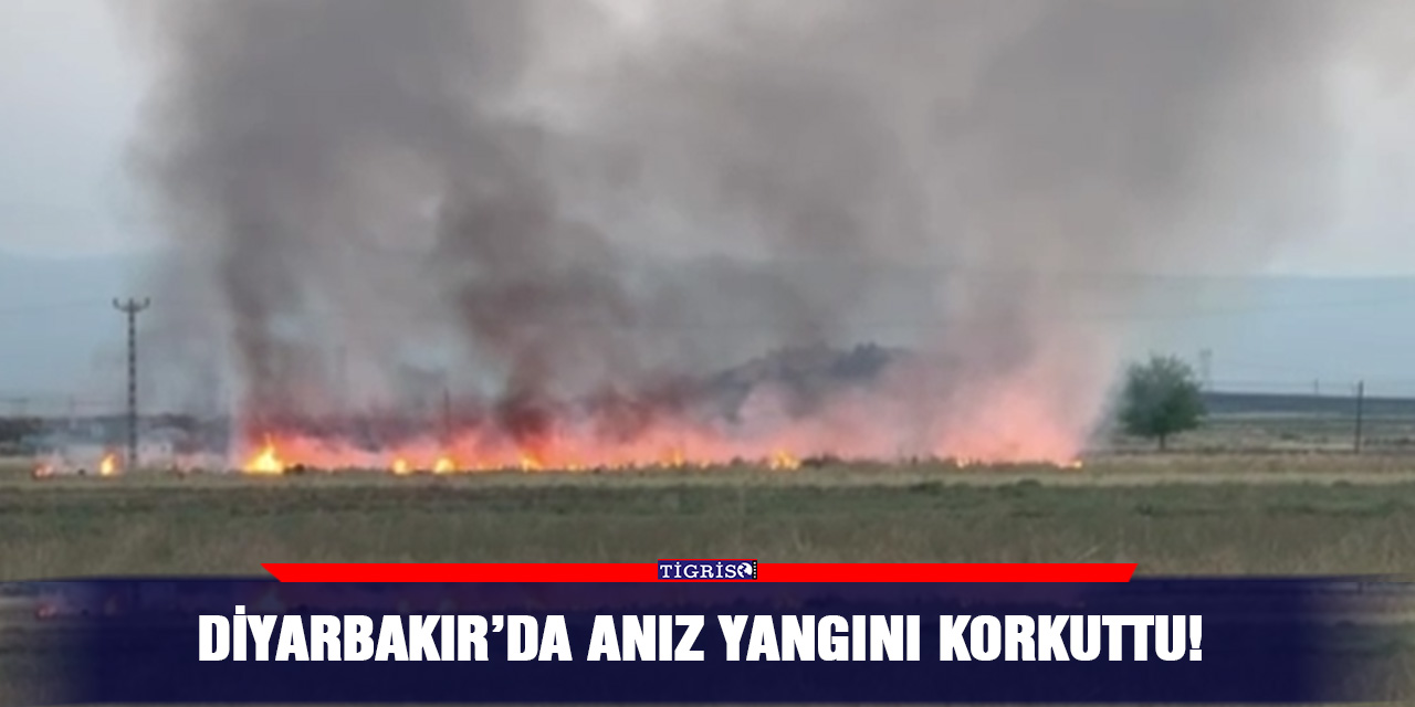 Diyarbakır’da anız yangını korkuttu!