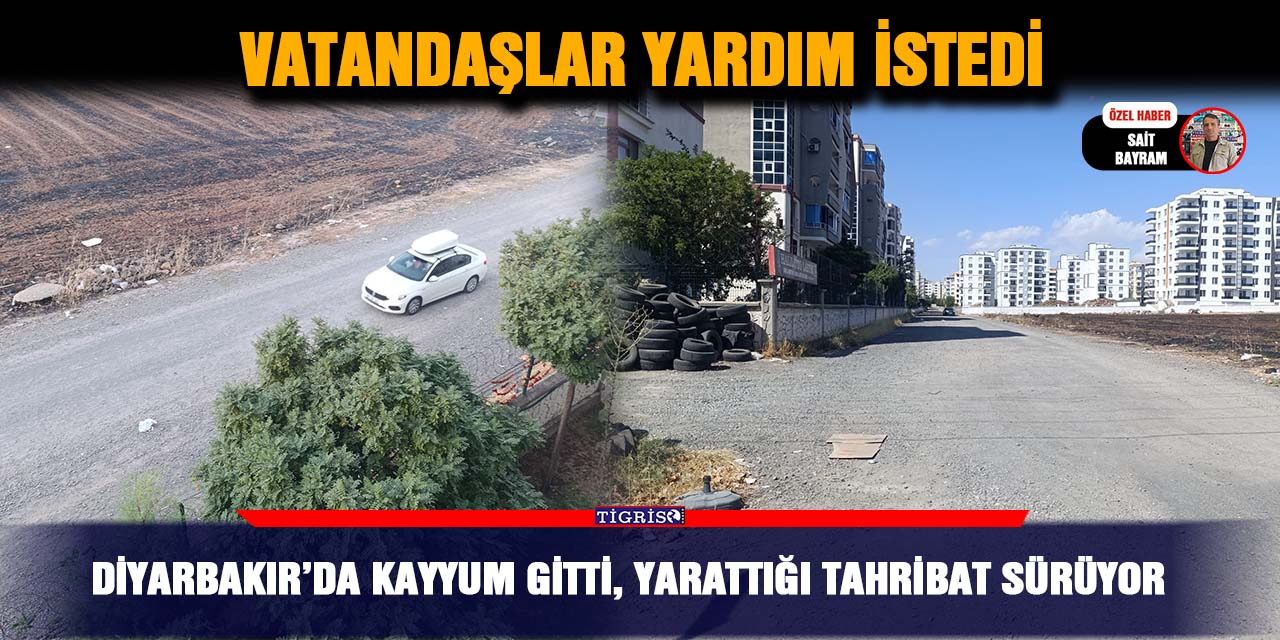 Diyarbakır’da kayyum gitti, yarattığı tahribat sürüyor