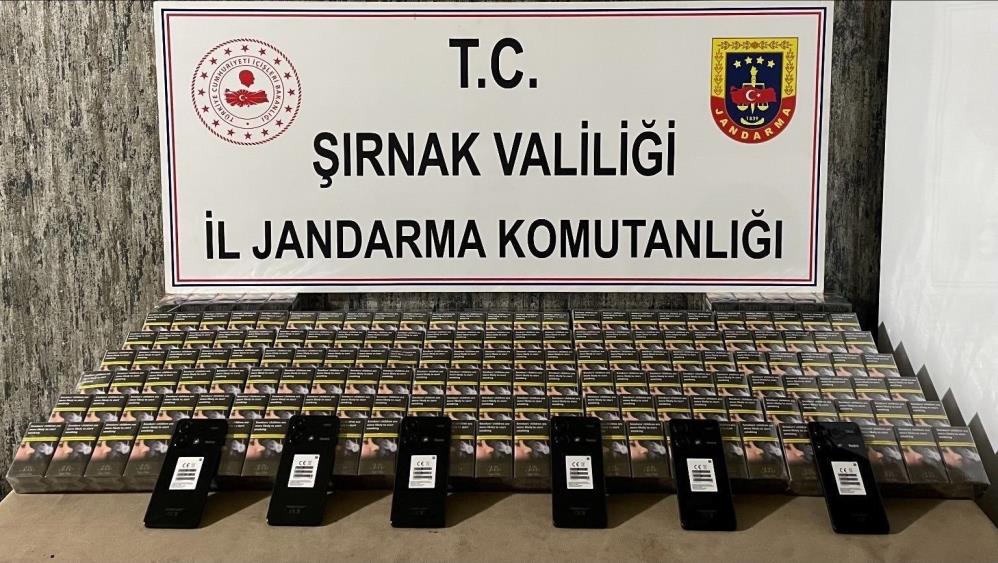 Şırnak'ta büyük kaçakçılık operasyonu: 24 gözaltı