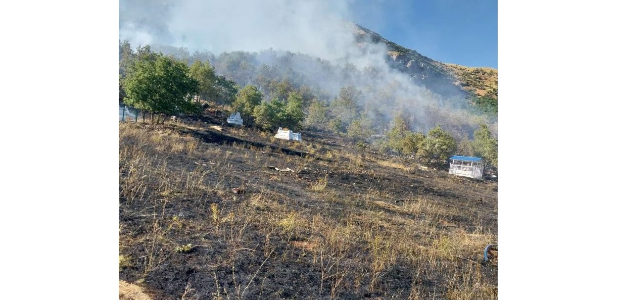 Dersim'de mezarlıkta başlayan yangın ormana sıçradı