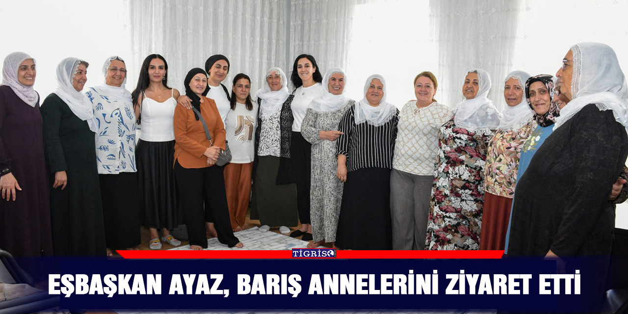 Eşbaşkan Ayaz, Barış Annelerini ziyaret etti