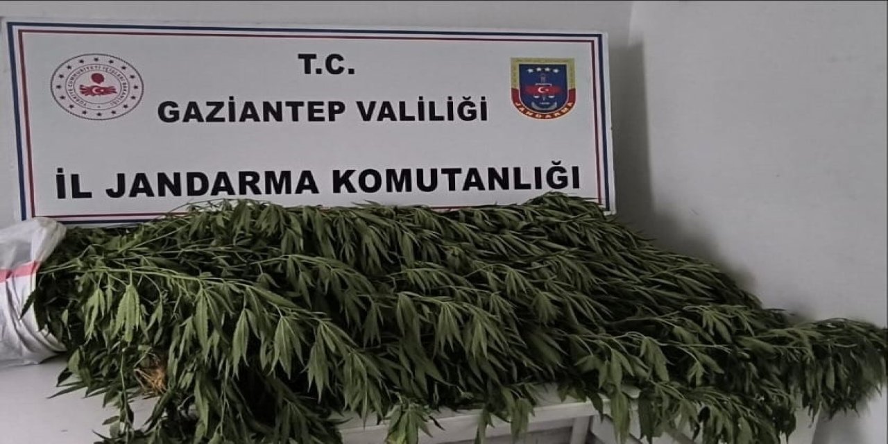 Antep'te uyuşturucu operasyonu: 8 gözaltı