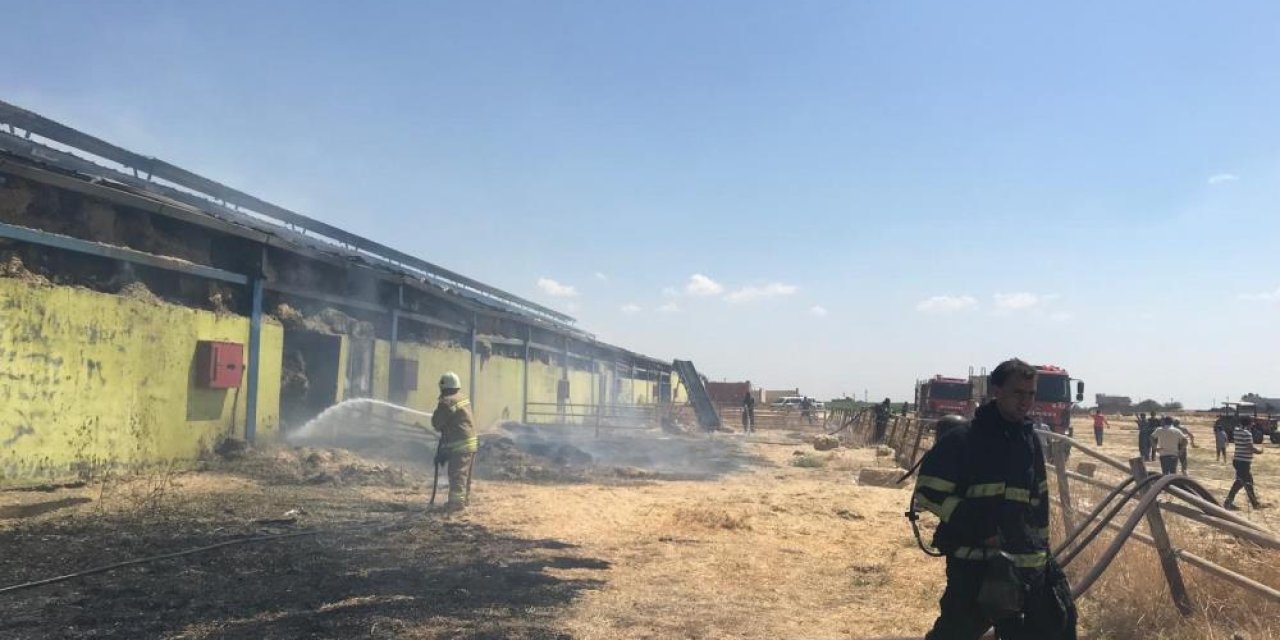 Mardin'de yangın: İtfaiye ekipleri müdahale ediyor